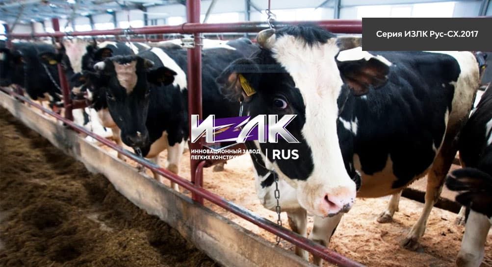 Основные виды коровников, эксплуатируемых животноводами Рыбинска и региона
